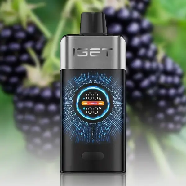 IGET ONE Blackberry Ice